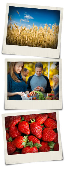 Farm Shop